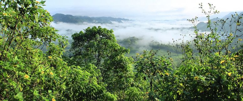 ECUADOR CARBON FORUM