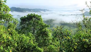 ECUADOR CARBON FORUM