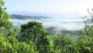 ECUADOR CARBON FORUM