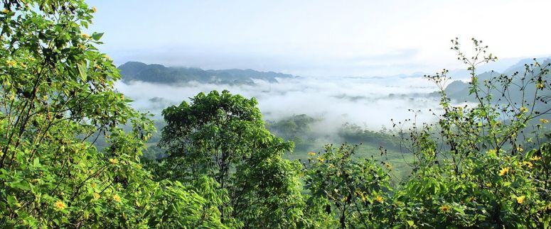 ECUADOR CARBON FORUM