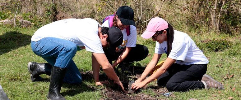 FEMSA SALUD – GPF