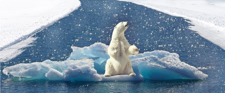 Cambio climático