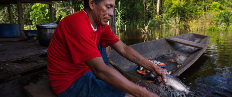 Amazonía