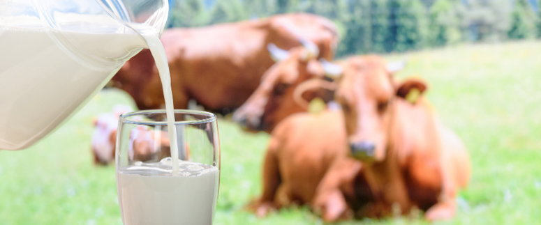 Sector lácteo