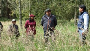 AGLOMERADOS COTOPAXI