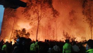 Incendios forestales