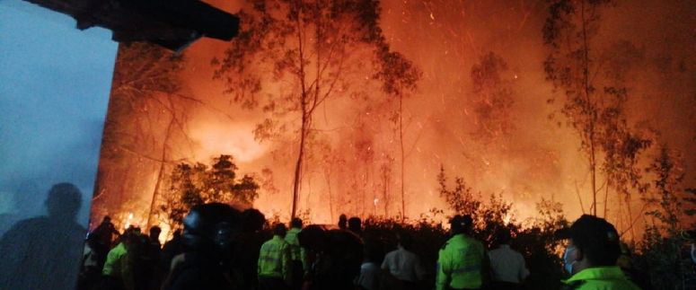 Incendios forestales