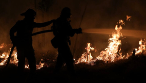 Incendios forestales