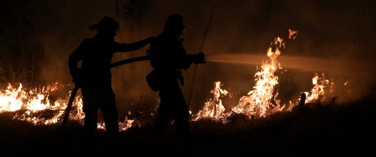 Incendios forestales