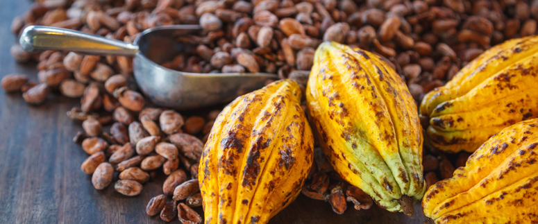 Cacao