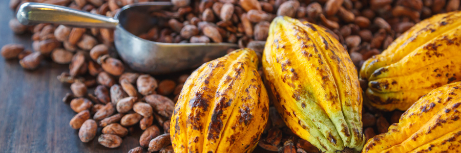 Cacao