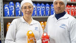 VITA ALIMENTOS