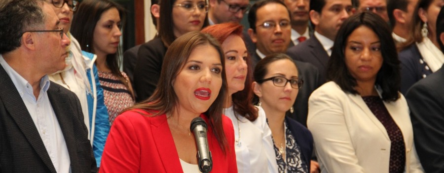 Vicepresidenta Acuña