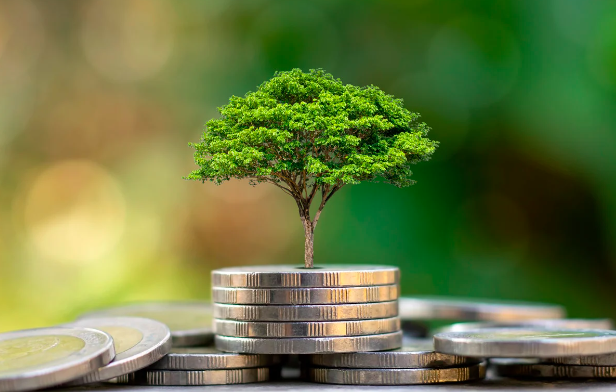 Revista Gestión | primicias.ec | Tres inversiones rentables de bajo riesgo